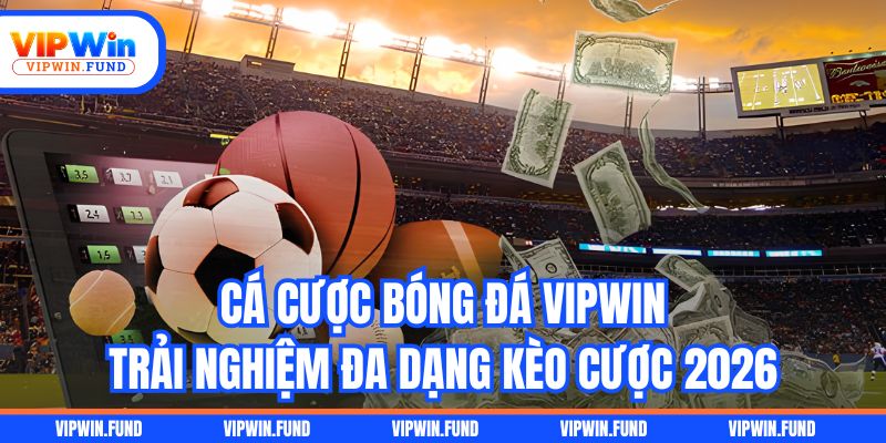 Cá Cược Bóng Đá VIPWIN - Trải Nghiệm Đa Dạng Kèo Cược 2026